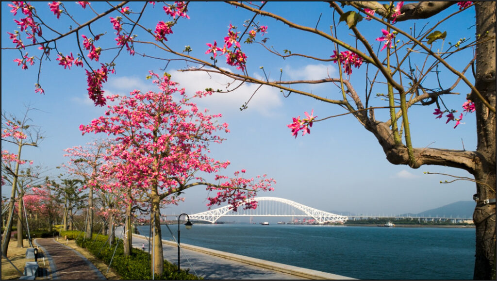 Hengqin Island waterfront