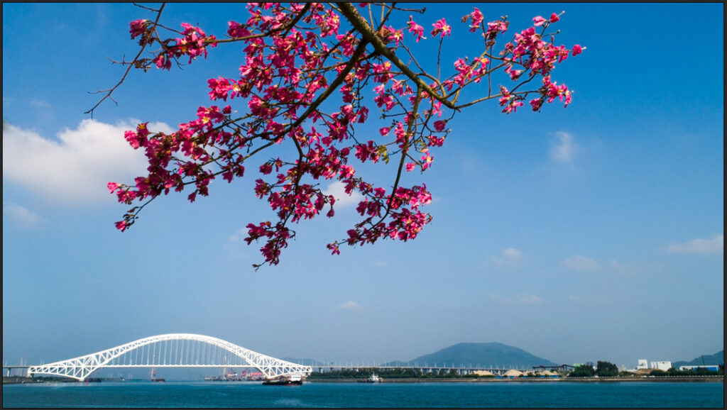 View from Hengqin Island