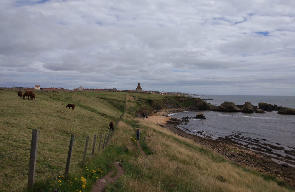 Fife coast